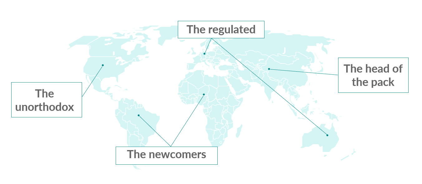 Open and Embedded Finance: The Newcomers