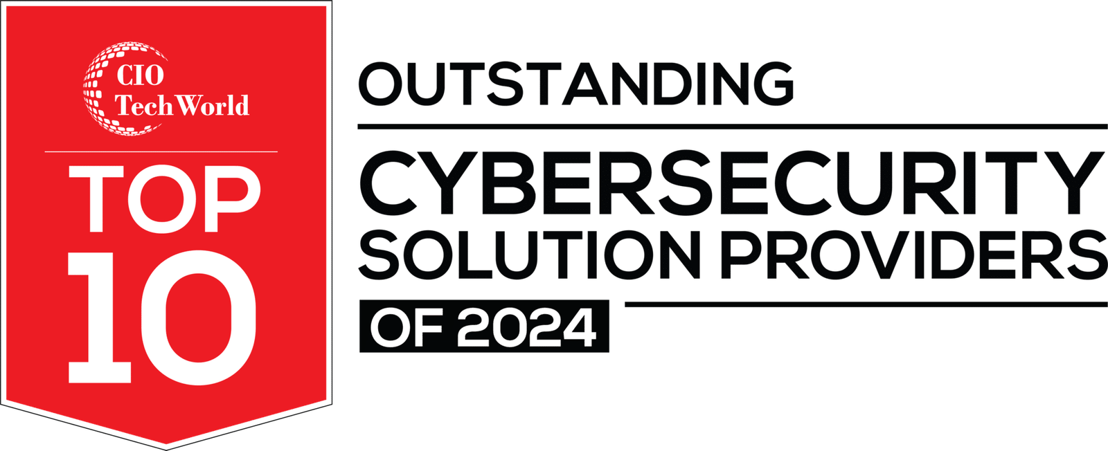 cyber security issue logo 2024