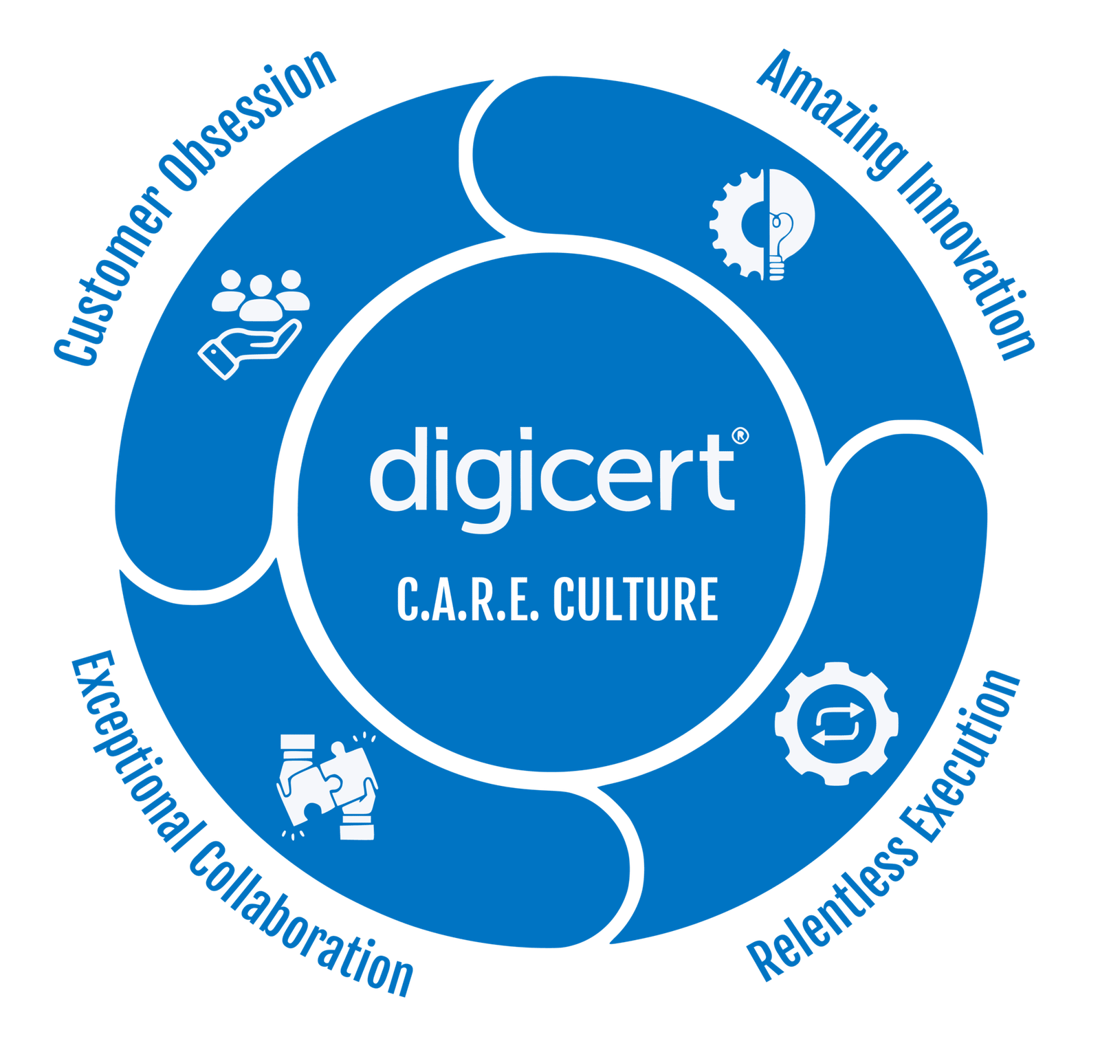 Dr. Amit Sinha's DigiCert CARE Principal 